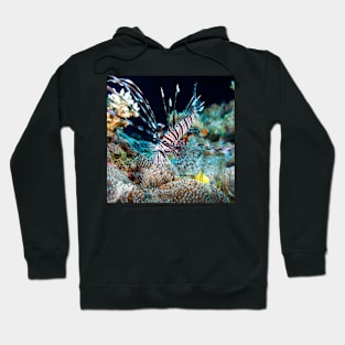 Lionfish on the Great Barrier Reef Hoodie